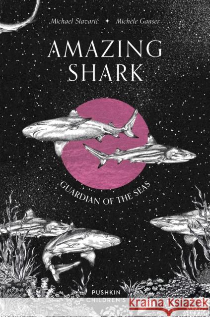 Amazing Shark: Guardian of the Seas Michael Stavaric 9781782695530 Pushkin Children's Books - książka