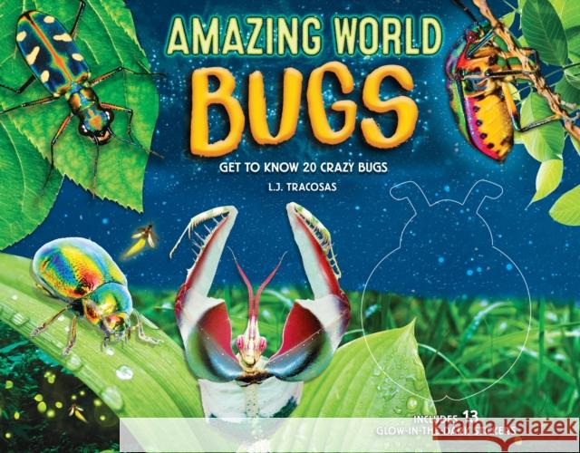 Amazing World: Bugs: Get to know 20 crazy bugs L. J. Tracosas 9780785841920 Quarto Publishing Group USA Inc - książka