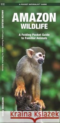 Amazon Wildlife: A Folding Pocket Guide to Familiar Animals Kavanagh, James 9781583557174 Waterford Press - książka