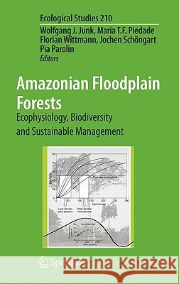 Amazonian Floodplain Forests: Ecophysiology, Biodiversity and Sustainable Management Junk, Wolfgang J. 9789048187249 Springer - książka