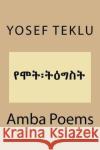 Amba Poems Yosef T. Teklu 9781975991654 Createspace Independent Publishing Platform