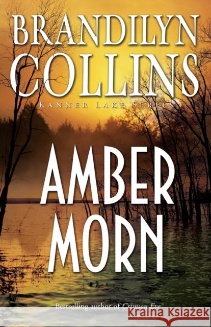 Amber Morn Brandilyn Collins 9780310276418 Zondervan - książka