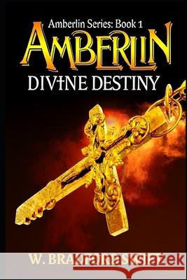 Amberlin: Divine Destiny: A Paranormal Mystery Adventure W. Bradford Swift 9781930328792 Porpoise Publishing - książka