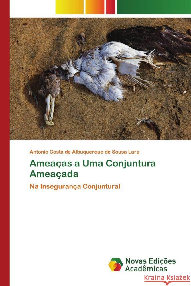 Ameac as a Uma Conjuntura Ameac ada de Albuquerque de Sousa Lara, Antonio Costa 9783639680003 Novas Edições Acadêmicas - książka