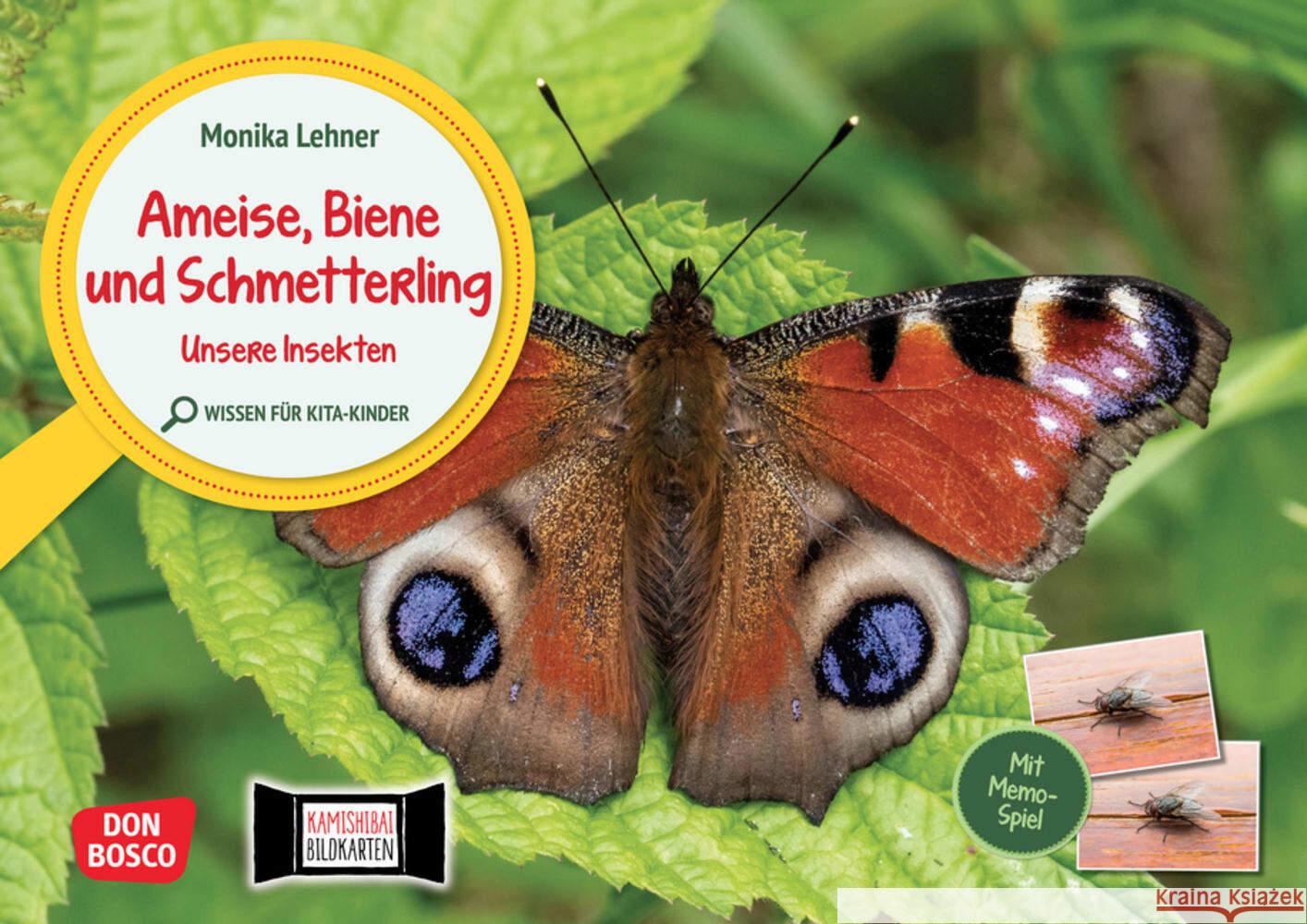 Ameise, Biene und Schmetterling. Unsere Insekten. Kamishibai Bildkarten und Memo-Spiel Lehner, Monika 4260179517273 Don Bosco Medien - książka