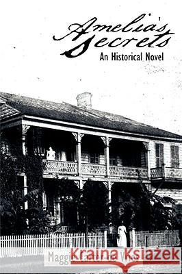 Amelia's Secrets: An Historical Novel Carter-De Vries, Maggie 9781434394798  - książka