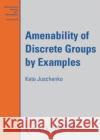 Amenability of Discrete Groups by Examples Kate Juschenko 9781470470326 American Mathematical Society
