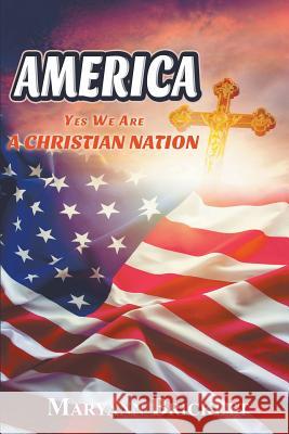 America Maryann Brickett 9781635240023 Litfire Publishing - książka