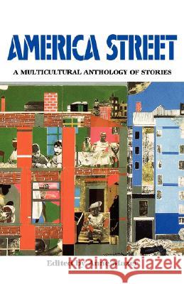 America Street: A Multicultural Anthology of Stamerica Street: A Multicultural Anthology of Stories Anne Mazer 9780892551903 Persea Books - książka