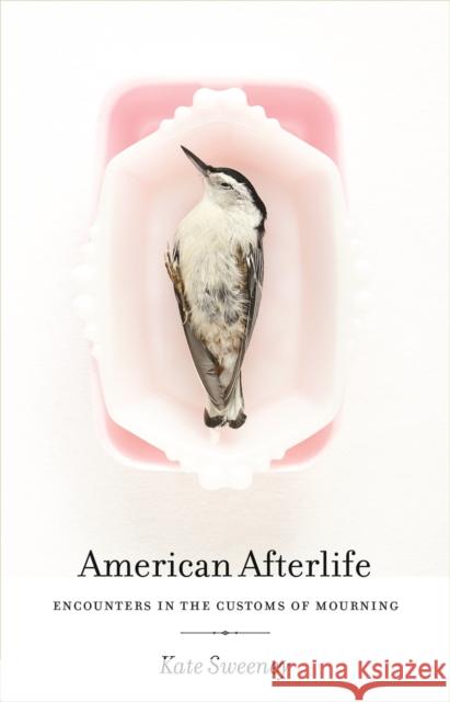 American Afterlife: Encounters in the Customs of Mourning Sweeney, Kate 9780820346007 University of Georgia Press - książka