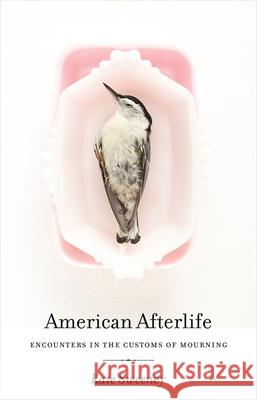 American Afterlife: Encounters in the Customs of Mourning Kate Sweeney 9780820350585 University of Georgia Press - książka