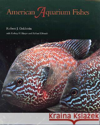 American Aquarium Fishes Robert J. Goldstein William F. Roston Richard Bryant 9780890968802 Texas A&M University Press - książka