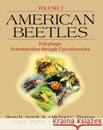 American Beetles, Volume II: Polyphaga: Scarabaeoidea Through Curculionoidea Thomas, Michael C. 9780849309540 CRC Press - książka