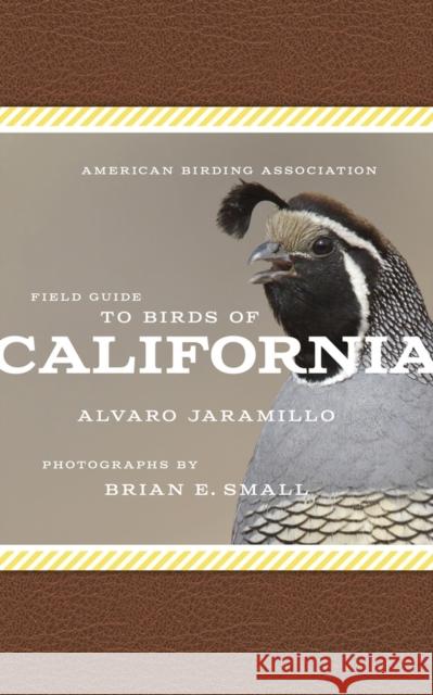 American Birding Association Field Guide to Birds of California Alvaro Jaramillo, Brian E. Small 9781935622505 Scott & Nix, Inc - książka