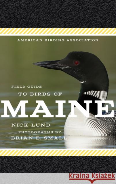 American Birding Association Field Guide to Birds of Maine Nick Lund 9781935622741 Scott & Nix, Inc. - książka