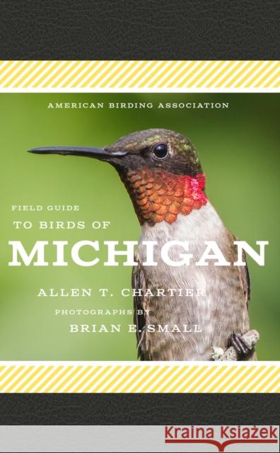 American Birding Association Field Guide to Birds of Michigan Allen T. Chartier Brian E. Small 9781935622673 Scott & Nix, Inc. - książka