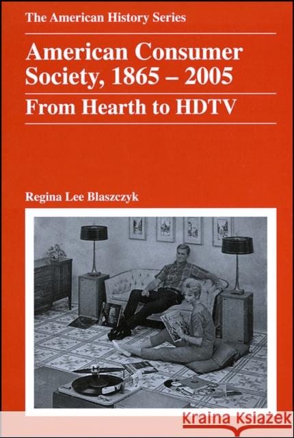 American Consumer Society, 1865 - 2005: From Hearth to HDTV Blaszczyk, Regina Lee 9780882952642 Harlan Davidson - książka