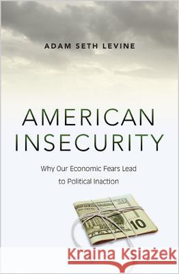 American Insecurity: Why Our Economic Fears Lead to Political Inaction Adam Seth Levine 9780691162966 Princeton University Press - książka