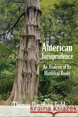 American Jurisprudence: An Analysis of Its Historical Roots Thomas Davidson Todd 9781737886419 Whaler Books - książka
