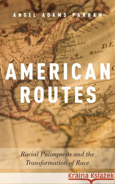 American Routes: Racial Palimpsests and the Transformation of Race Angel Adams Parham 9780190624750 Oxford University Press, USA - książka