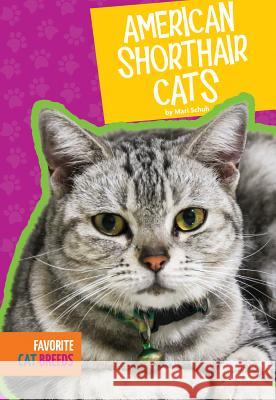 American Shorthair Cats Mari C. Schuh 9781607539674 Amicus High Interest - książka