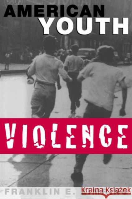 American Youth Violence Franklin E. Zimring 9780195140637 Oxford University Press - książka