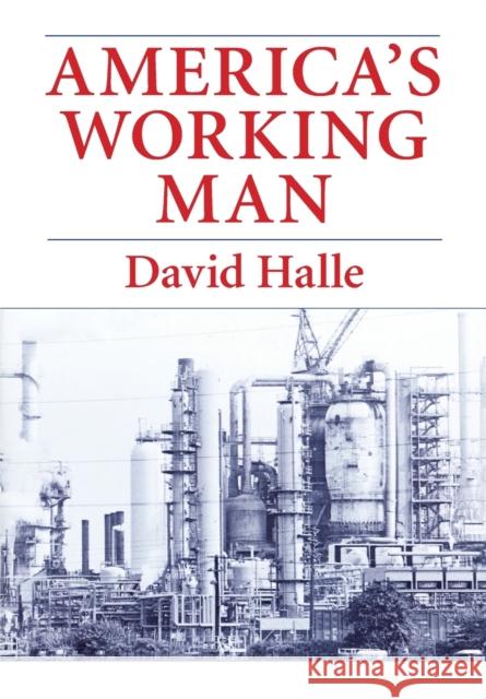 America's Working Man: Work, Home, and Politics Among Blue Collar Property Owners Halle, David 9780226313665 University of Chicago Press - książka