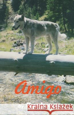 Amigo Ray Lloyd 9781478220657 Createspace Independent Publishing Platform - książka