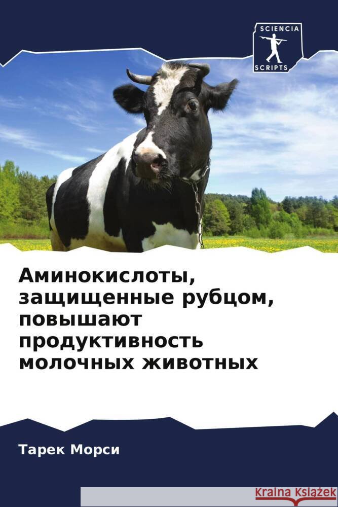 Aminokisloty, zaschischennye rubcom, powyshaüt produktiwnost' molochnyh zhiwotnyh Morsi, Tarek 9786208611224 Sciencia Scripts - książka