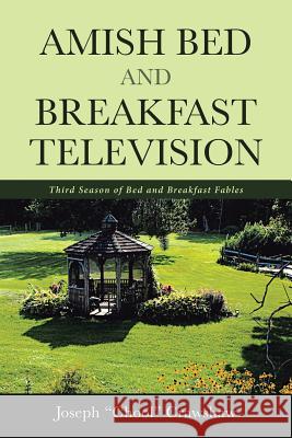 Amish Bed and Breakfast Television: Third Season of Bed and Breakfast Fables Joe Crawshaw 9781642995206 Christian Faith Publishing, Inc - książka