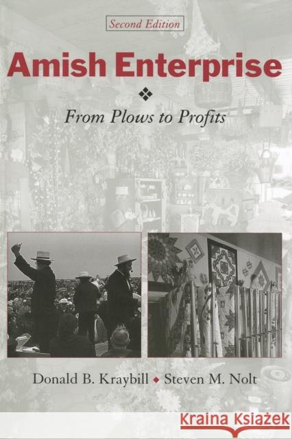 Amish Enterprise: From Plows to Profits Kraybill, Donald B. 9780801878053 Johns Hopkins University Press - książka