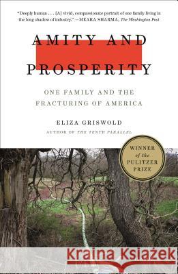 Amity and Prosperity: One Family and the Fracturing of America Eliza Griswold 9781250215079 Picador USA - książka