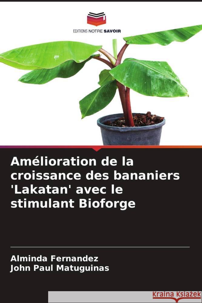 Amélioration de la croissance des bananiers 'Lakatan' avec le stimulant Bioforge Fernandez, Alminda, Matuguinas, John Paul 9786208221843 Editions Notre Savoir - książka