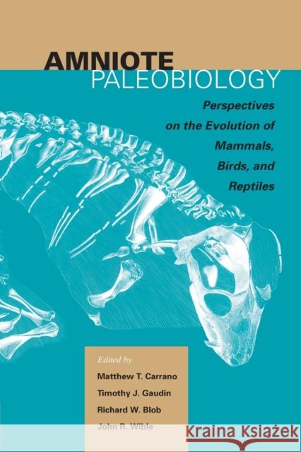 Amniote Paleobiology: Perspectives on the Evolution of Mammals, Birds, and Reptiles: A Volume Honoring James Allen Hopson Matthew Carrano Timothy Gaudin Richard Blob 9780226094786 University of Chicago Press - książka