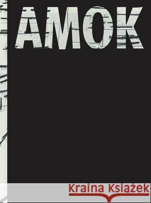 AMOK Nadine Fecht, Kunsthalle Mannheim 9783954762958 Distanz Publishing - książka