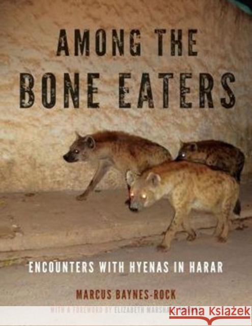 Among the Bone Eaters: Encounters with Hyenas in Harar Marcus Baynes-Rock Elizabeth Marshall Thomas 9780271067209 Penn State University Press - książka