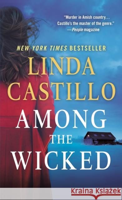 Among the Wicked Castillo, Linda 9781250130242 Minotaur Books - książka