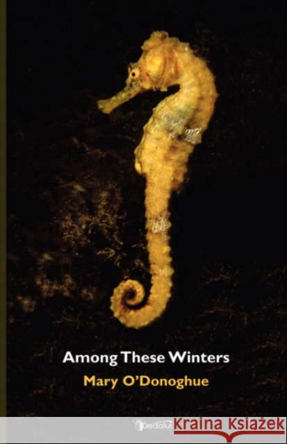 Among These Winters Mary O'Donoghue 9781904556701 Dedalus Press - książka