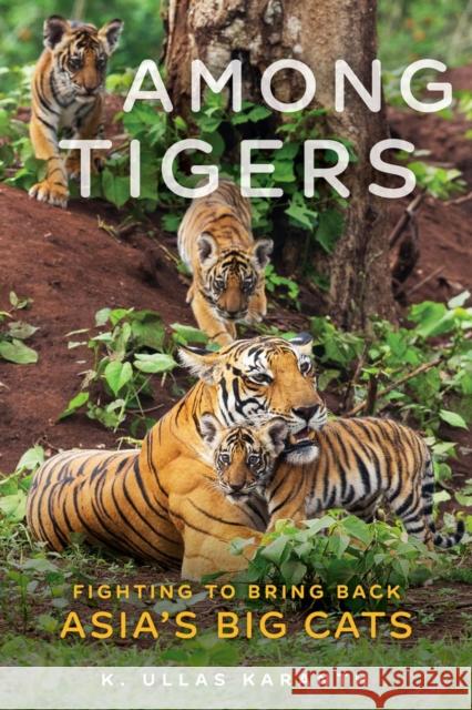Among Tigers: Fighting to Bring Back Asia's Big Cats K. Ullas Karanth 9781641606547 Chicago Review Press - książka