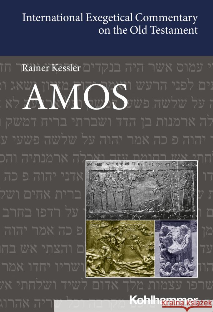 Amos Rainer Kessler Ronald Va 9783170224216 Kohlhammer - książka