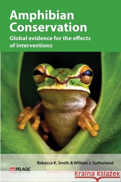 Amphibian Conservation: Global Evidence for the Effects of Interventions Smith, Rebecca K. 9781907807855 Pelagic Publishing - książka