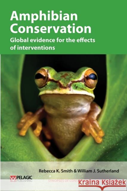 Amphibian Conservation: Global Evidence for the Effects of Interventions Smith, Rebecca K. 9781907807862 Pelagic Publishing - książka