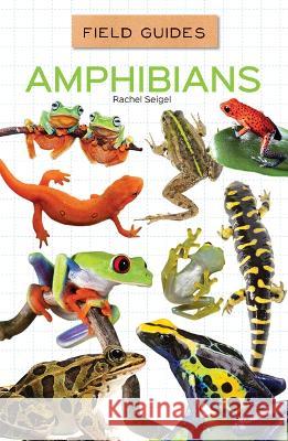 Amphibians Rachel Seigel 9781532198793 Abdo Reference - książka