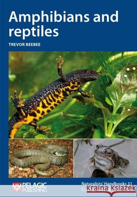 Amphibians and reptiles Beebee, Trevor J. C. 9781907807459 Naturalists' Handbook - książka