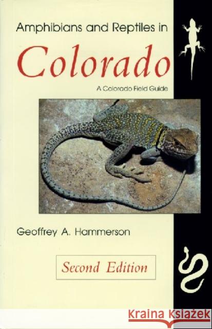 Amphibians and Reptiles in Colorado, Second Edition Hammerson, Geoffrey A. 9780870815348 University Press of Colorado - książka