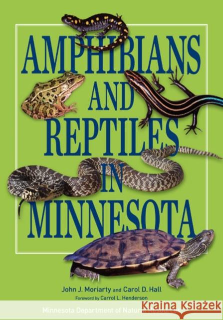 Amphibians and Reptiles in Minnesota John J. Moriarty Carol D. Hall 9780816690916 University of Minnesota Press - książka