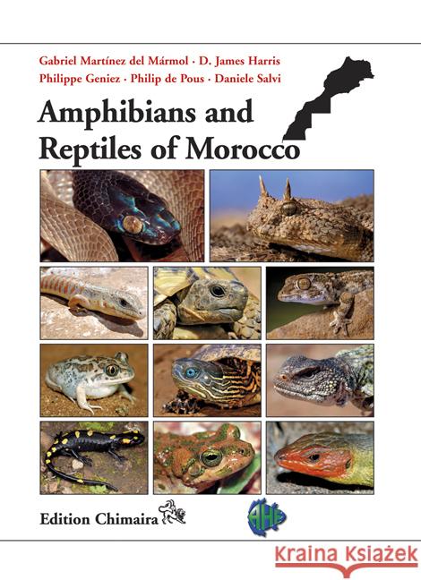 Amphibians and Reptiles of Morocco  9783899731170 Chimaira - książka