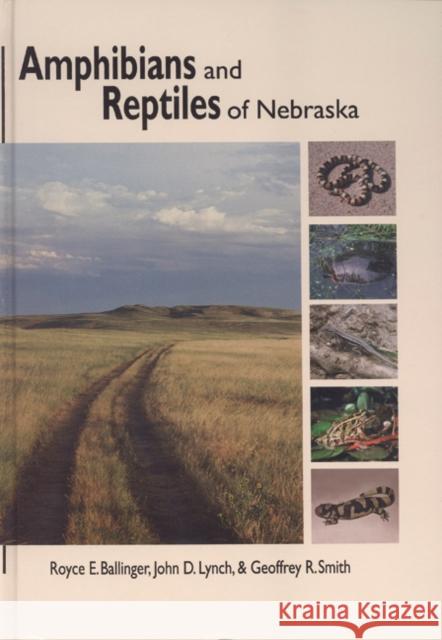 Amphibians and Reptiles of Nebraska Royce E. Ballinger John D. Lynch Geoffrey R. Smith 9781616584955 University of Nebraska Press - książka