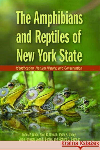 Amphibians and Reptiles of New York State: Identification, Natural History, and Conservation Gibbs, James P. 9780195304442 Oxford University Press, USA - książka