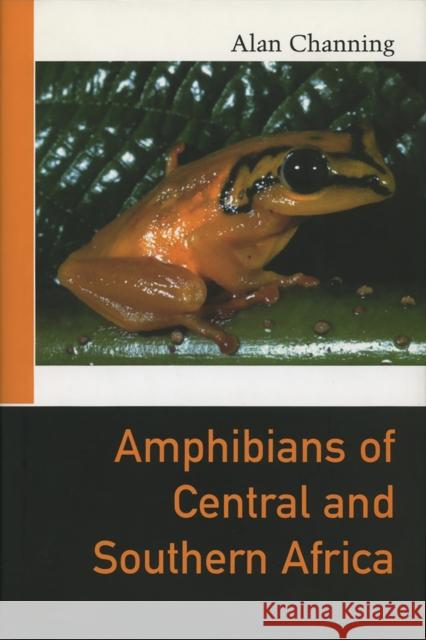 Amphibians of East Africa Alan Channing Kim M. Howell 9780801443749 Cornell University Press - książka